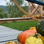 Somnium Pieniny Tylka