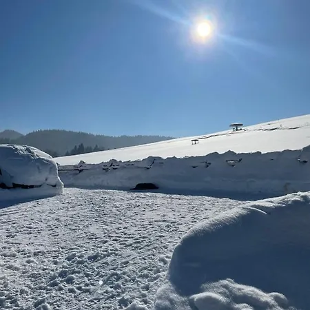 Domek alpejski Somnium Pieniny Tylka