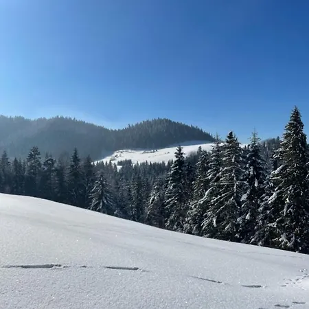 Somnium Pieniny Chalet