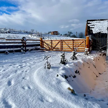 Somnium Pieniny Chalet *