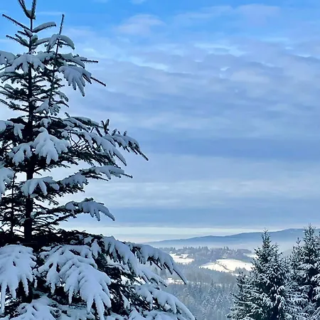 Chalet Somnium Pieniny Tylka