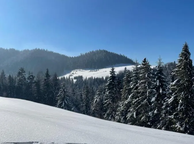 Somnium Pieniny בקתה