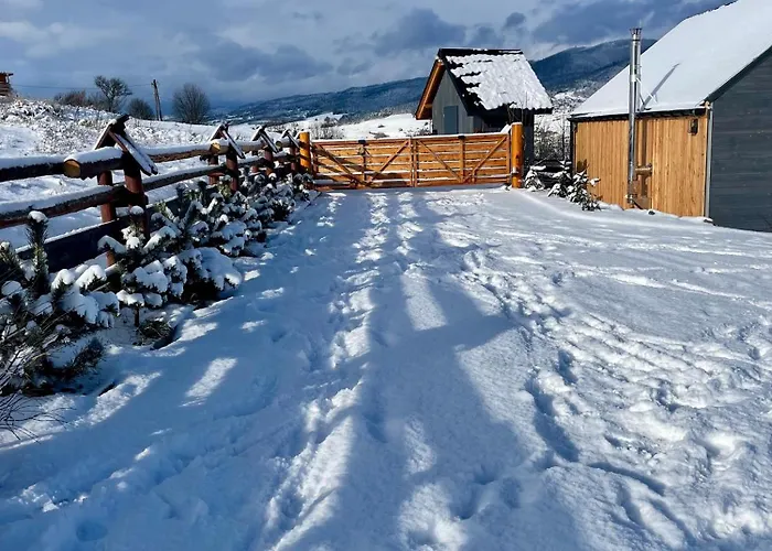 Somnium Pieniny Tylka